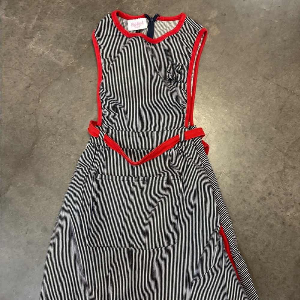 BIG BUD PRESS artist dress. Great condition!